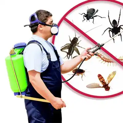 pest control Pahrump